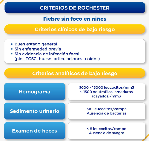 ESCALA ROCHESTER.png