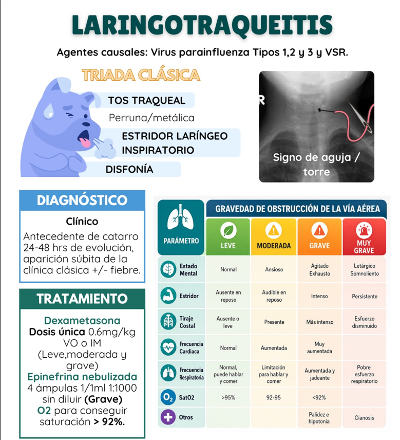 CRUP IMAGENES INSTAGRAM3.png