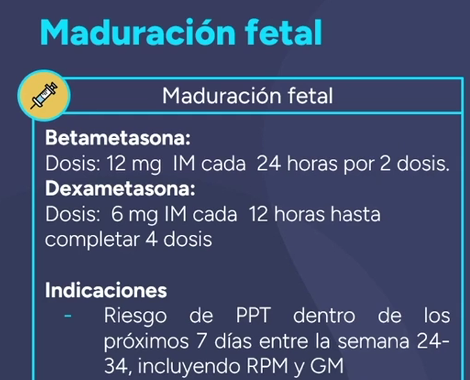 MADURACIÓN FETAL.png