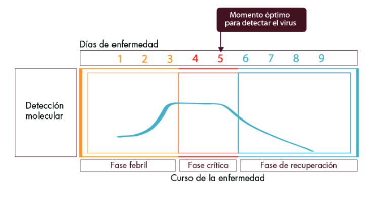 dengue mnemotecniashj.png